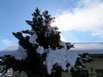 Skihütten-Urlaub Kärnten