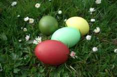 Der Garten der Möglichkeiten
