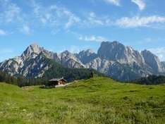Heidi-Alm Falkert