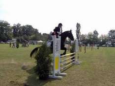 Reitturnier in Klagenfurt