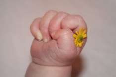 Babyhotel