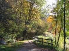 Botanische Gärten und Naturparks