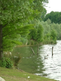 Wörthersee Schifffahrt, Kärnten