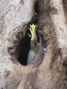 Vogelpark Turnersee