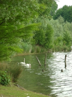 Vassacher See bei Villach