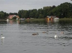 Haidensee in Glanegg