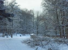 Stellungnahme Naturflugschanze Nationalpark