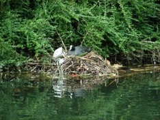 Faaker See in Finkenstein