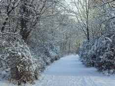 Lesachtal Kärnten vielfältig erleben