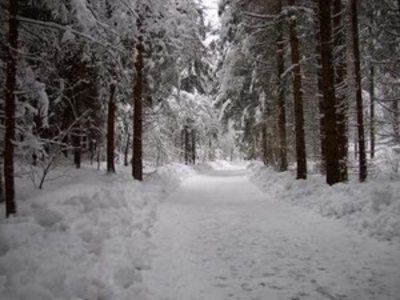 Sankt Georgen am Längsee