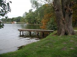 Weissensee und Pressegger See reinste Badeseen